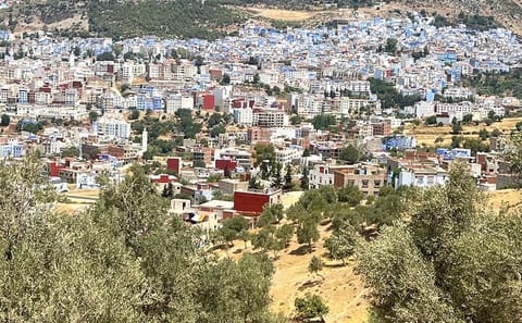 Full-Day Cultural Tour from Fez to Chefchaouen