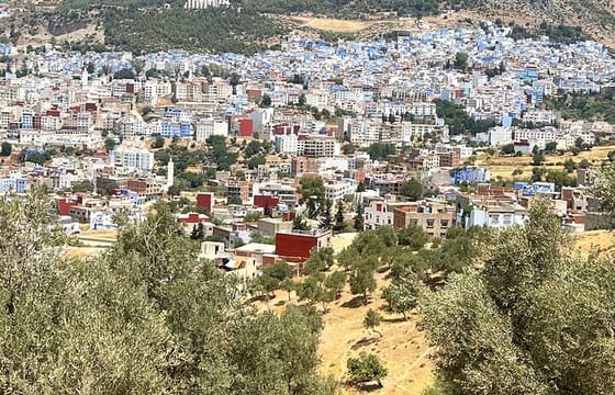 Full-Day Guided Tour from Fez to Chefchaouen
