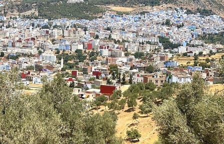 Full-Day Cultural Tour from Fez to Chefchaouen
