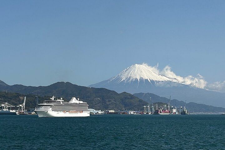 Private sightseeing tour from Shimizu Port / Van Taxi