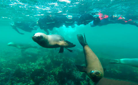 Sail a Catamaran in Paracas Bay for Stunning Views