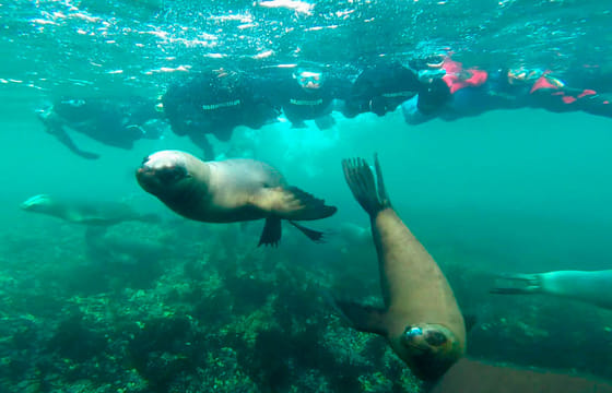 Par-05 : Sail on a Catamaran – Discover Paracas Bay