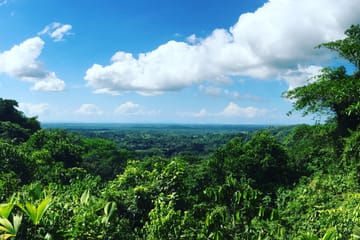 Rainmaker Park Hiking Tour near Parrita, Costa Rica