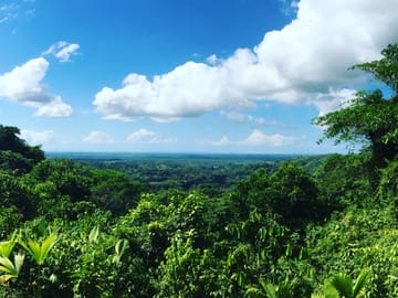Rainmaker Park Hiking Tour near Parrita, Costa Rica