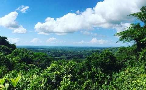 Rainmaker Park Hiking Tour near Parrita, Costa Rica