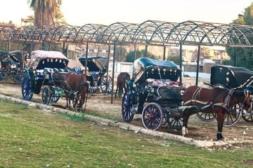 Private Horse Carriage Tour of Luxor's Historic Streets
