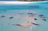 Zanzibar Mnemba Island Dolphin and Snorkeling Tour 1