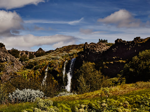 Paradise Valley & Highlands | Private Tour, photo 3