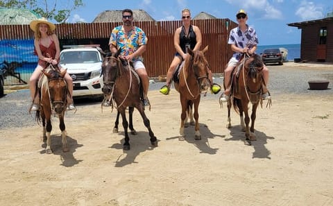Private City Tour of Coxen Hole, Roatan for 4 Hours