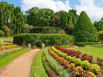 Kandy City Tour: Explore Cultural Heritage in One Day