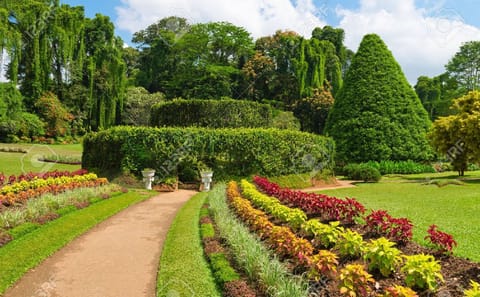 Kandy City Tour: Explore Cultural Heritage in One Day