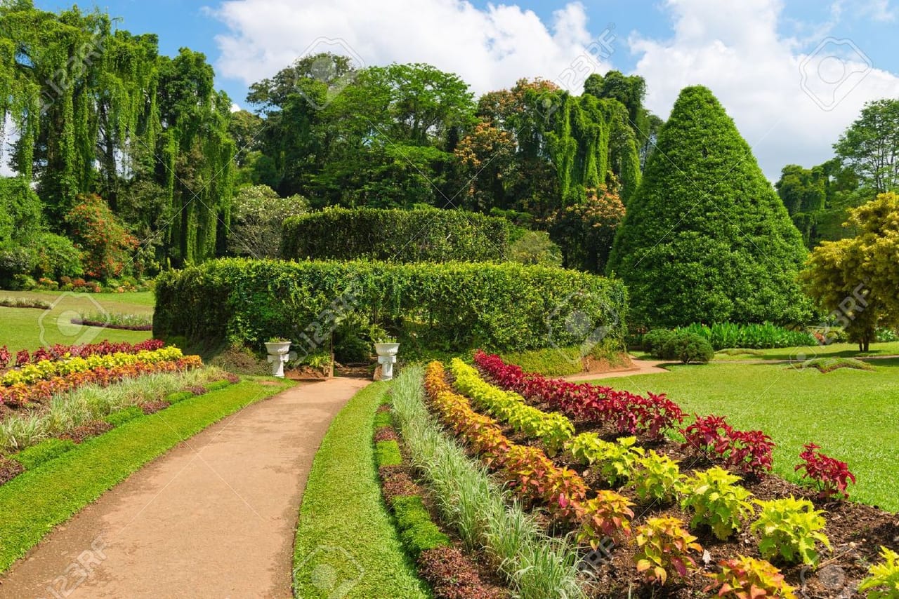 One Day Experience in Kandy (German & English) 3
