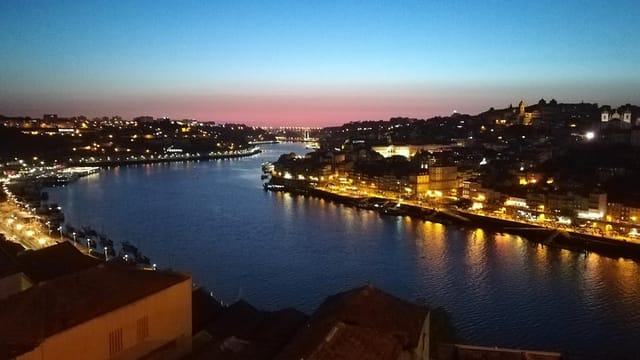 Private tour to Porto with walking tour through the town