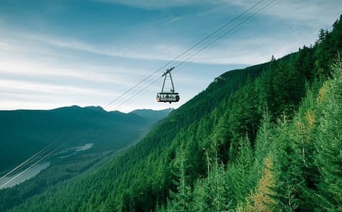 Private Tour of Capilano Suspension Bridge and Grouse Mountain