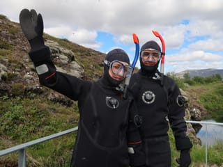 Reykjavík Whales & Snorkeling, photo 6
