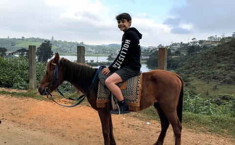 4-Hour Guided Horse Riding Tour in Nuwara Eliya