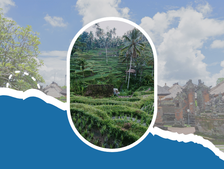 Tegalalang Rice Terrace