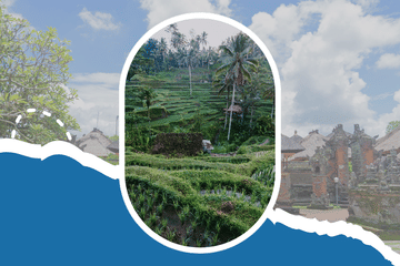 5-Day Cultural and Nature Tour of Ubud, Bali
