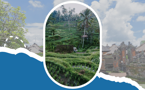 5-Day Cultural and Nature Tour of Ubud, Bali