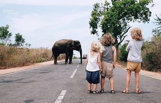 The Secret Escapes | 14 Days