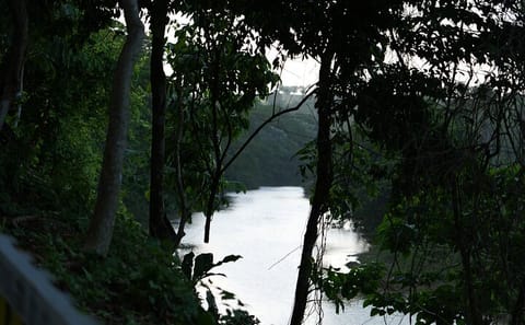 ATV Adventure Tour in Punta Cana's Tropical Oasis