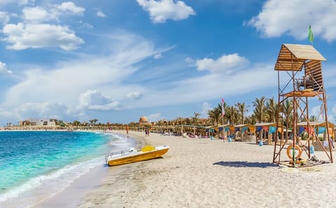 Snorkeling Day Trip to Abu Dabbab Beach in Marsa Alam