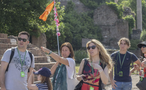 Guided Tour of the Colosseum, Roman Forum, and Palatine Hill