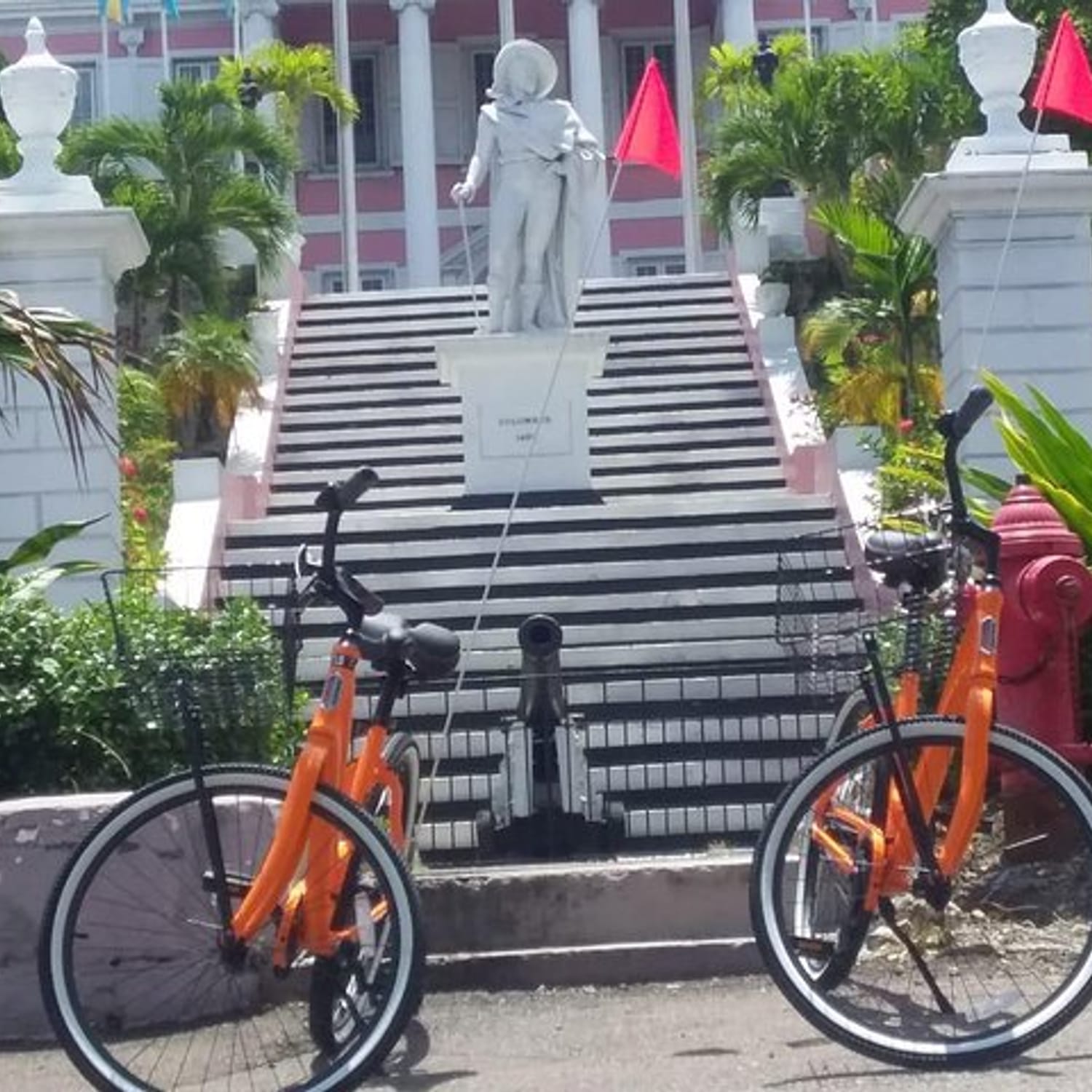 4 Hour Beach Cruiser Rental