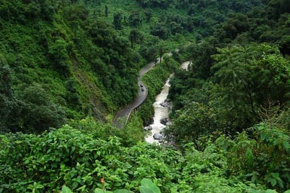Yungas and El Rey National Park 4×4 Full Day Tour from Salta