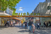 Rotterdam in 1 Day - Walking Tour - Audioguide in 7 languages 6