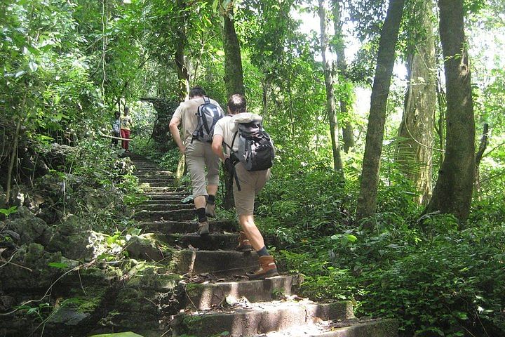 Hanoi to Cuc Phuong National Park: Jungle Trekking & Primate Rescue