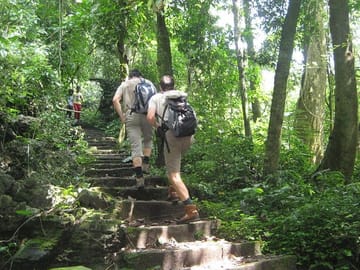 trek in Cuc Phuong national Park