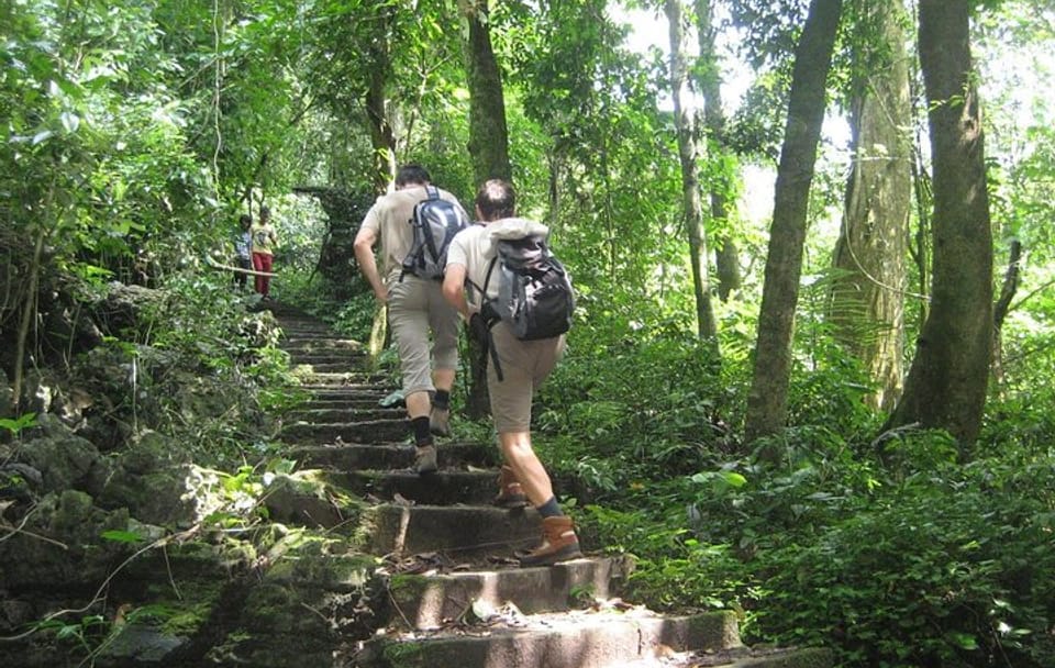 Full-Day Tour of Cuc Phuong National Park from Hanoi
