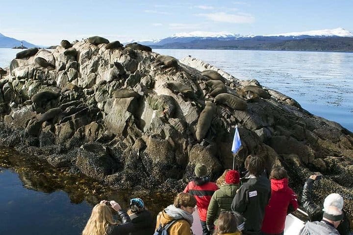 Beagle Channel and Sea Lions Island Catamaran Cruise 4
