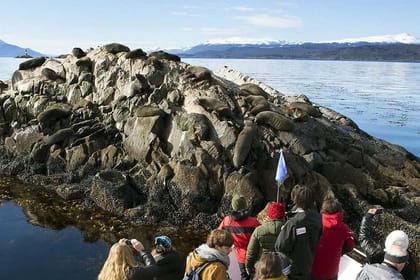 Beagle Channel and Sea Lions Island Catamaran Cruise