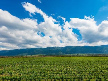 6-Day Private Boutique Tour: Wine and History of Bulgaria