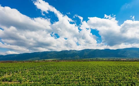 6-Day Private Tour of Bulgaria's Wine and Historical Sites