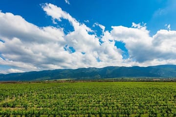 6-Day Private Tour of Bulgaria's Wine and Historical Sites