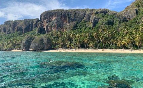 Las Terrenas: Tour a Playa Frontón y playa Rincón con almuerzo