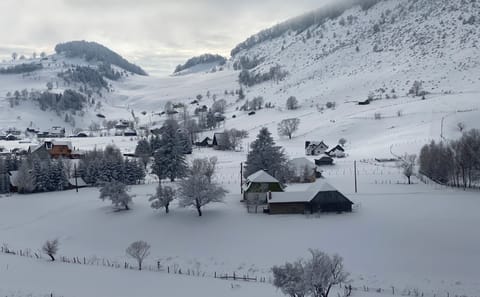 Hiking Tour in Brașov, Holbav, and Poiana Marului