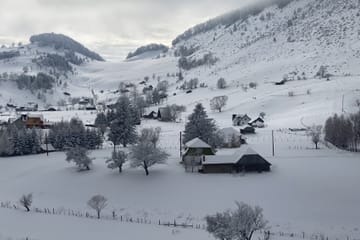 Hiking Tour in Brașov, Holbav, and Poiana Marului
