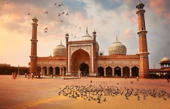 Golden Triangle and Glimpses of Rajasthan Village