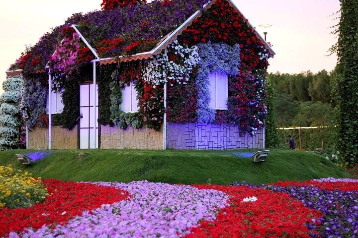 Pass Ticket to Miracle Garden from Dubai