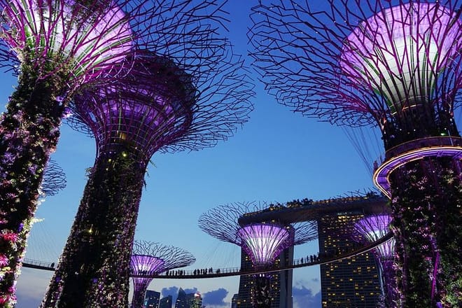 Gardens by the Bay