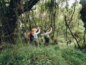 5-Day Adventure Tour of Chitwan National Park and Pokhara