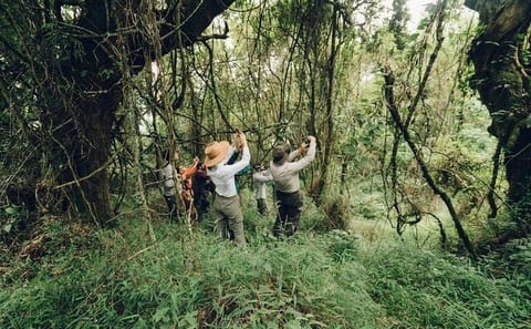 5-Day Adventure Tour of Chitwan National Park and Pokhara