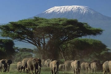 5Day Wild Heart Masai Mara, Nakuru and Naivasha Tour
