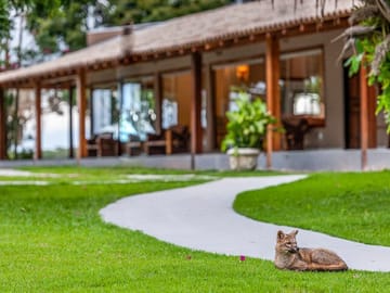 Explore Pantanal Norte: 5-Day Wildlife and Culture Tour