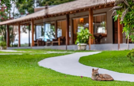 Explore Pantanal Norte: 5-Day Wildlife and Culture Tour