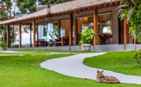 Explore Pantanal Norte: 5-Day Wildlife and Culture Tour